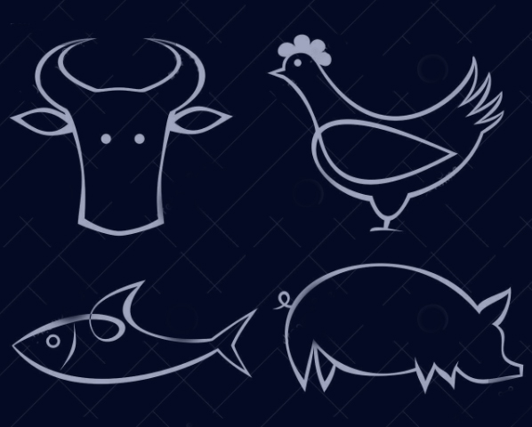 animal protein
